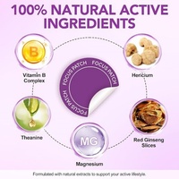 Fournisseur de patchs transdermiques personnalisés OEM, vitamine B complexe, théanine, magnésium, 30 patchs par boîte