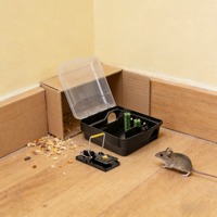 Boîte à appâts pour rats en promotion, durable et réutilisable, capable de capturer les souris vivantes, station d'appât pour rats