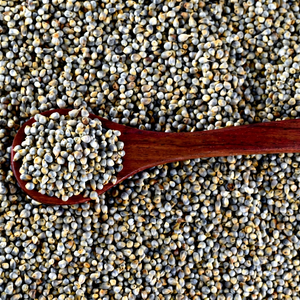 Grains de millet perlé de qualité alimentaire - Product Image 1