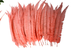 50 ، ريش نعام ناندو للحفلات المنزلية ، مزهرية زفاف ، ديكور يدوي ، قبعة زهور ، إكسسوارات أغطية رأس - Product Image 4