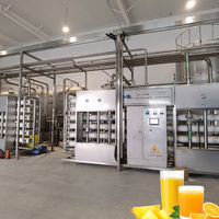 Hoge Standaard Rijpe Mango Jam Productielijn Professionele Fabriek Fruit Pulp Proces Lijn