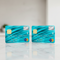 Tarjeta Magnética Personalizada con Estampado en Lámina Dorada, Impresión Digital en PVC, Laminación de Película Plástica, Número en Relieve, Estampado en Caliente