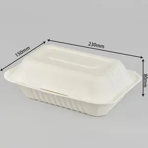 Biodegradable Tableware Sugarcane Bagasse Clamshell Packaging Lunch Box