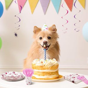 ชุดอุปกรณ์จัดงานเลี้ยงธีมลูกสุนัขสีชมพู DAMAI ประกอบด้วยจานกระดาษแบบใช้แล้วทิ้ง ผ้าเช็ดปาก แก้ว ช้อน ส้อม ชุดวันเกิดสำหรับสัตว์เลี้ยง สำหรับ 24 คน - Product Image 5