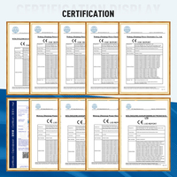 Zhejiang Wolong personnalisé monophasé AC Drive certifié CE VFD pour moulage par injection et compresseur/moteur puissance nominale 4KW