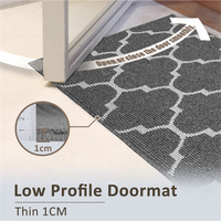 Grand tapis d'accueil extérieur Tapis d'entrée lavable à profil bas Tapis d'entrée absorbant antidérapant Tapis d'intérieur