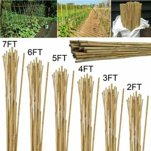 Fabrika toptan fiyat Tonkin bambu kamışı bahçe kazık Moso doğal yapay ham bambu direkleri
