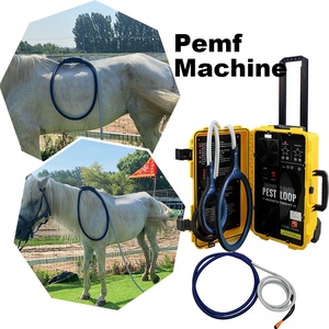 เครื่อง PEMF กำลังสูงสำหรับม้า เพื่อผ่อนคลายกล้ามเนื้อที่ตึง และเพิ่มความยืดหยุ่นและความคล่องตัวของข้อต่อ - Product Image 1