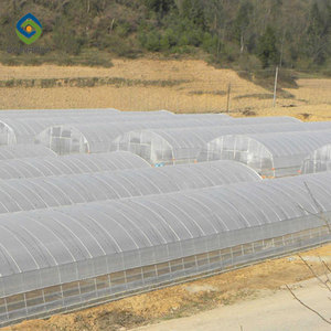 Invernadero de Túnel Agrícola a Buen Precio para Cultivo de Hongos - Product Image 2