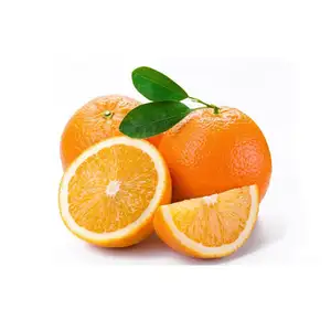 Aceite Esencial Puro Orgánico Prensado en Frío, Aceite de Naranja, Ingrediente de Árbol de Té para Cosméticos, Agricultura, Cuidado de la Piel, Certificado GMP - Product Image 1