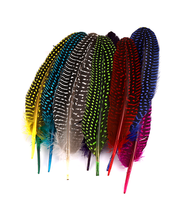 Teint en gros naturel en vrac à pois ailes de guinée plumes/pintade aile plume pour fête carnaval décor