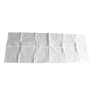 JS-R-BG-00 Cheap Pvc Peva Corpse Body Body Bag