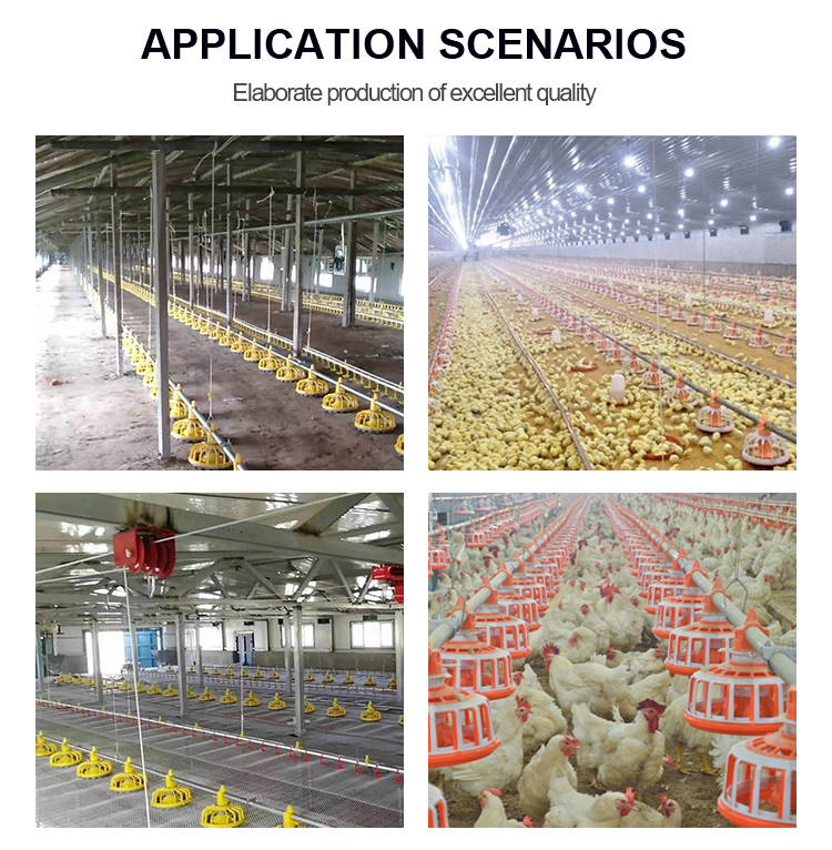 Poultry farming chicken feeder equipment Complete Automatic Broiler Feeding and Drinking line machinery