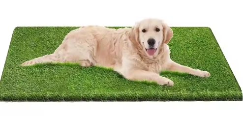 Tapis d'absorption pour animaux