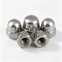 DIN1587 304 Baja Tahan Karat Kelas 8.8 Finishing Polos Mur Tutup Ulir Penuh Model Acorn Nut Hex Dome untuk Mesin, Furnitur, Kesehatan