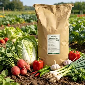 YIDA Biotech - Biofertilizante de Ácido Húmico de Bacillus Megaterium, Disolución P, Mejora la Estructura del Suelo, Mejora la Fotosíntesis, Alivia la Sequía - Product Image 4