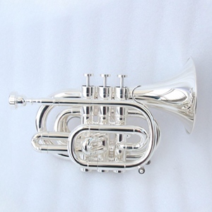 <span class=keywords><strong>Trompeta</strong></span> <span class=keywords><strong>de</strong></span> Bolsillo <span class=keywords><strong>Profesional</strong></span> FPT-300S, Plateada, Tono Bb, Válvulas <span class=keywords><strong>de</strong></span> Monel, Cuerpo <span class=keywords><strong>de</strong></span> Latón, Boquilla 7C, Estuche <span class=keywords><strong>de</strong></span> Plástico <span class=keywords><strong>de</strong></span> Alta Calidad, OEM - Product Image 2