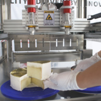 Machine de découpe de gâteaux roulés miniatures à ultrasons, ligne de production automatique en acier inoxydable avec nettoyage automatique et sécurité