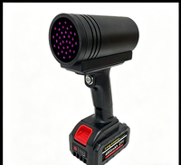 Lampe UV portable pour l'inspection de la peinture automobile, détecteur de lumière ultraviolette, appareil d'inspection UV professionnel