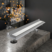 Siphon de douche linéaire invisible de 20 pouces en acier inoxydable 304 moderne, anti-odeur, avec filtre à cheveux, pour cuisine et extérieur