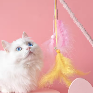 ไม้ล่อแมวแบบเป็นมิตรต่อสิ่งแวดล้อมสำหรับเล่นในบ้าน พร้อมขนนกกระจอกเทศ - ของเล่นแมวแบบอินเทอร์แอคทีฟ - Product Image 5