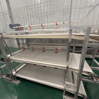 Nouvelle cage à poulets de chair de type H pour usage agricole, démontage pratique, nettoyage facile, acier galvanisé
