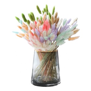 Fleur séchée naturelle <span class=keywords><strong>Lagurus</strong></span> Ovatus double couleur, nouvelle collection, pour l'été, de type Queue de Lapin, fabrication OEM - Product Image 1
