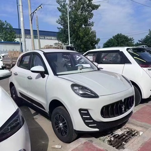 Mini voiture électrique, véhicule électrique, nouvelle énergie, mini voiture panda - Product Image 5