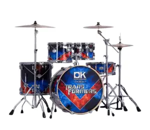 Goede reputatie DK merk 5 stukken muziekinstrument professionele drum set
