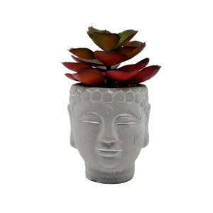 Vente en gros Plateaux de fleurs succulentes en ciment à tête de bouddha-Meilleures ventes de jardinières en béton pour le jardinage à domicile - Product Image 2
