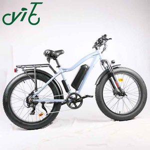 Vélo électrique à succès 1000W 48V avec batterie lithium 13Ah, pneus larges 26 pouces, VTT électrique HP-EMB03 - Product Image 4