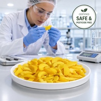 Graad A Halal IQF Diepvries Gele Perzik Schijfjes Groothandel |   100% natuurlijke, vers gesneden perziken voor bakkerijjam & -sap