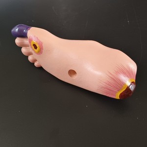 Medicina Humana, Complicaciones <span class=keywords><strong>de</strong></span> la Diabetes, Ojos, Corazón, Riñones, Vasos Sanguíneos, Pie, Cirugía Interna y Externa, Rehabilitación, Patología - Product Image 4