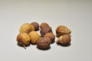 Wu Huan Zi, Hierbas de Alta Calidad, Productos Alimenticios Saludables, Eliminan la Mucosidad, Alivian la Indigestión, Eliminan Parásitos - Product Image 2