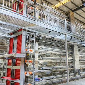 Jaula para Aves <span class=keywords><strong>de</strong></span> Corral <span class=keywords><strong>de</strong></span> Acero Inoxidable <span class=keywords><strong>de</strong></span> Construcción Duradera, Jaula para <span class=keywords><strong>Pollos</strong></span> <span class=keywords><strong>de</strong></span> <span class=keywords><strong>Segunda</strong></span> <span class=keywords><strong>Mano</strong></span>, Gallinero para 5000 <span class=keywords><strong>Pollos</strong></span> - Product Image 1