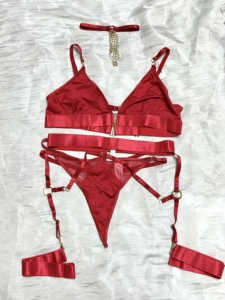 Sexy Set Lingerie 4 Pezzi Sottile e Seducente con Body Halter Neck, Reggiseno Scollato Profondo, Collana Girocollo con Frange Metalliche e Accessori Reggicalze - Product Image 4