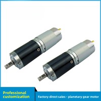 Motor de Engranajes Planetarios de Precisión de 28 mm, 12 V, 24 V, 30 W, 2 Nm, Alto Torque, Reemplazo para Motor Sin Núcleo Maxon para Dispositivos de Belleza