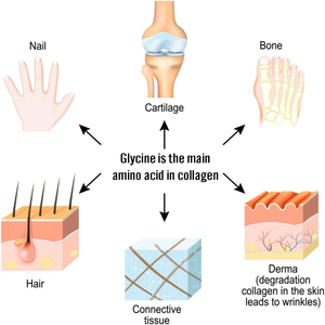 Glicina en polvo de grado alimenticio de alta calidad, aminoácido puro de marca privada, apoya la recuperación muscular y un sueño saludable - Product Image 5