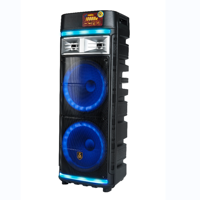 High-Power 12*2 Portable Party Audio System Speaker for Outdoor Dance and Computer/Home Theatre Use Battery Powered