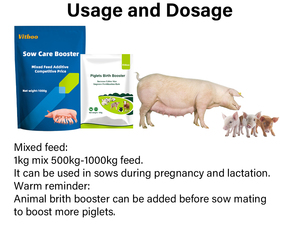 Aditivo Alimenticio para Cerdas, Aumenta la Tasa de Parto, Mejora el Peso de los Lechones, Premezcla Animal, Fabricación OEM, Suplemento para Ganado - Product Image 5