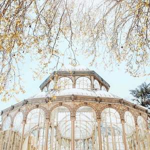 Serra vittoriana elegante giardino d'inverno in ferro battuto casa di esposizione <span class=keywords><strong>botanica</strong></span> - Product Image 5