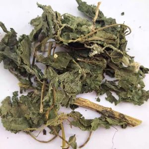 Nouvel Arrivage Feuilles de <span class=keywords><strong>Ortie</strong></span> Naturelles (Qianma Ye) – Plantes Médicinales Chinoises Origine Chine - Product Image 2