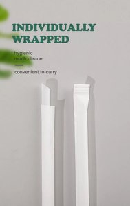 Cannucce Ecologiche 100% Biodegradabili in Plastica PLA per Bevande - Product Image 2