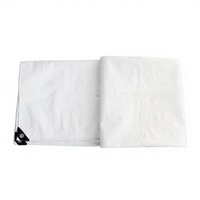 Bâche PE blanche 140 GSM en promotion - Publicité, tentes événementielles, entrepôts - Marché russe