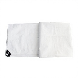 Lona <span class=keywords><strong>de</strong></span> Polietileno Blanca <span class=keywords><strong>de</strong></span> 140 GSM para <span class=keywords><strong>Publicidad</strong></span>, Carpas para Eventos, Almacenes, Mercado Ruso - Product Image 1