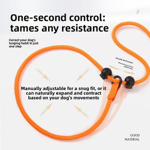 Nuovo Guinzaglio per Cani Antiesplosione, Riflettente e Traspirante, Corda per Addestramento e Passeggiata per Animali Domestici - Product Image 3