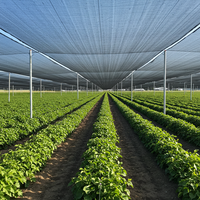 Filet d'ombrage 100% HDPE anti-UV pour élevage d'escargots, serre, agriculture, maille plastique, tissu d'ombrage, pare-vent, filet d'ombrage de jardin