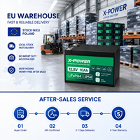 Batterie Lithium X-Power 12.8V 10Ah LiFePO4 avec Boîtier ABS, BMS Intelligent, 6000 Cycles, IP54, Cycle Profond, pour UPS, Solaire, CCTV, Stock UE, Garantie 3 Ans