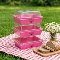 Boîte à charcuterie électrique rose fluo personnalisée, populaire, avec couvercle, pour plats à emporter, pâtisseries, cheesecakes, mini-conteneur