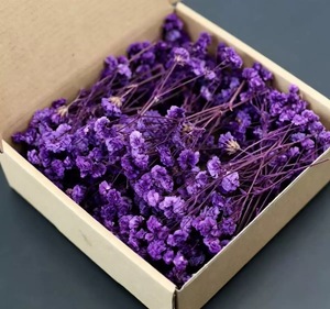 50 pièces <span class=keywords><strong>de</strong></span> fleurs naturelles séchées et préservées artisanales, Gypsophile, longue durée, pour bouquets <span class=keywords><strong>de</strong></span> mariage, Fête des Mères, Remise <span class=keywords><strong>de</strong></span> diplôme - Product Image 4